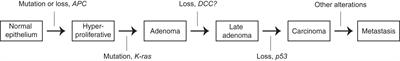 The permissive binding theory of cancer